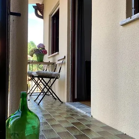 Grandma's Carolina Holiday home