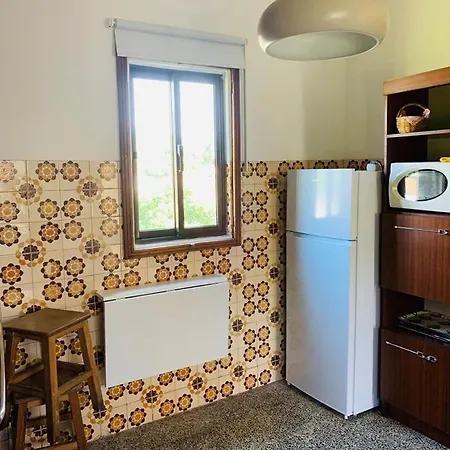 Grandma's Carolina *