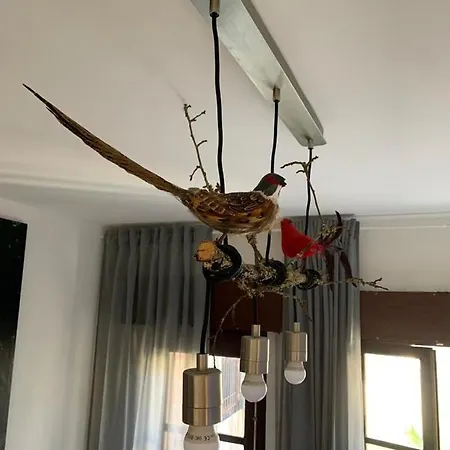 Grandma's Carolina * Sul