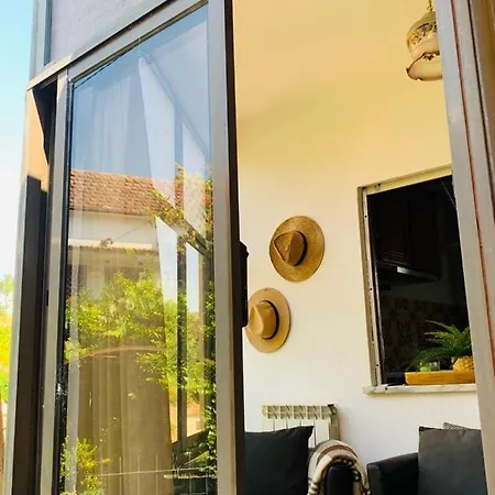 Grandma's Carolina Holiday home