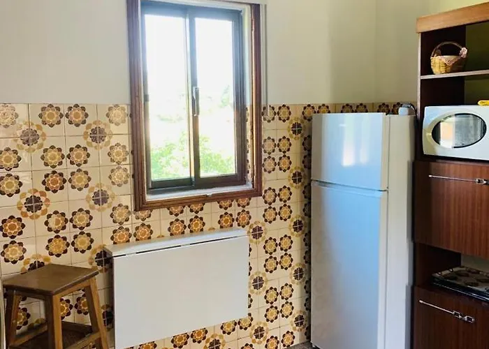 Grandma's Carolina *