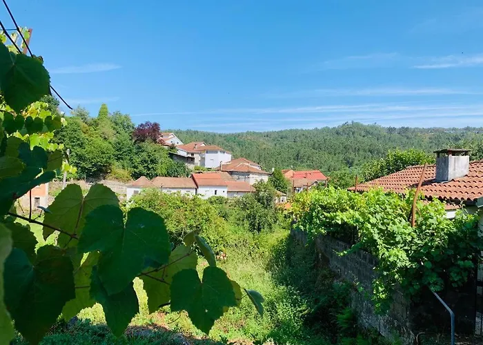 بيت للعطل Grandma's Carolina