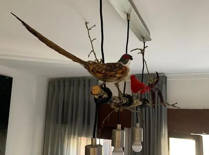 Grandma's Carolina * Sul