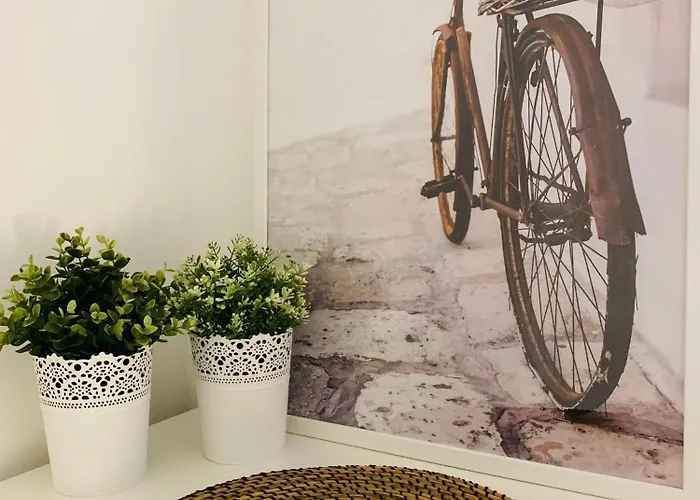 Grandma's Carolina بيت للعطل Sul